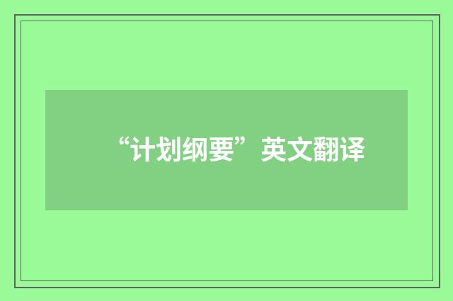 “计划纲要”英文翻译