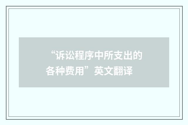 “诉讼程序中所支出的各种费用”英文翻译