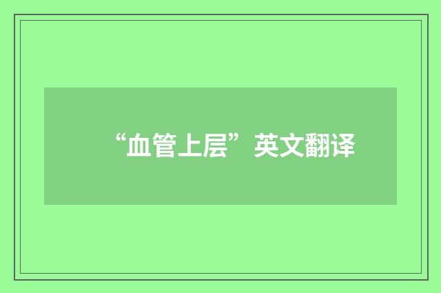 “血管上层”英文翻译