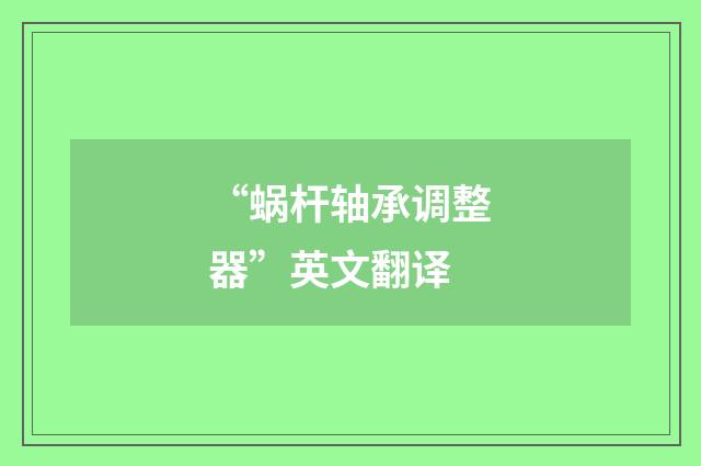 “蜗杆轴承调整器”英文翻译