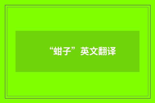 “蚶子”英文翻译