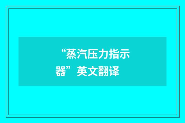 “蒸汽压力指示器”英文翻译