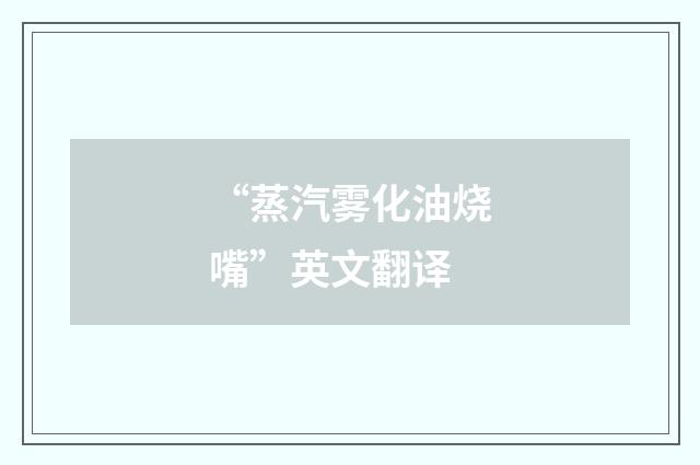“蒸汽雾化油烧嘴”英文翻译