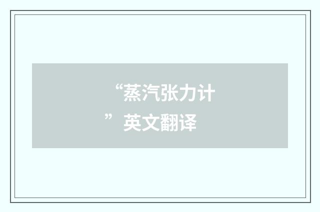 “蒸汽张力计”英文翻译