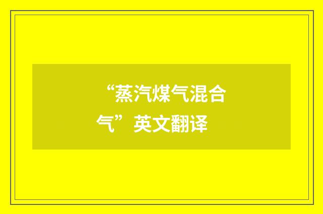 “蒸汽煤气混合气”英文翻译