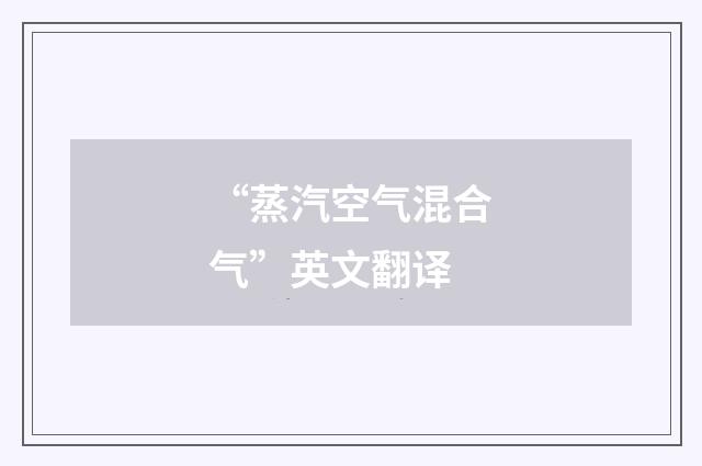 “蒸汽空气混合气”英文翻译
