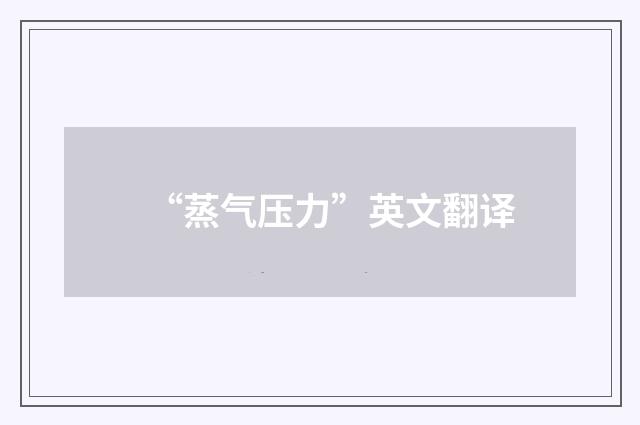 “蒸气压力”英文翻译