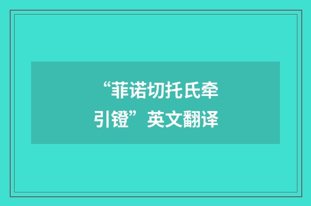 “菲诺切托氏牵引镫”英文翻译