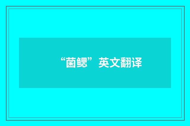 “菌鳃”英文翻译