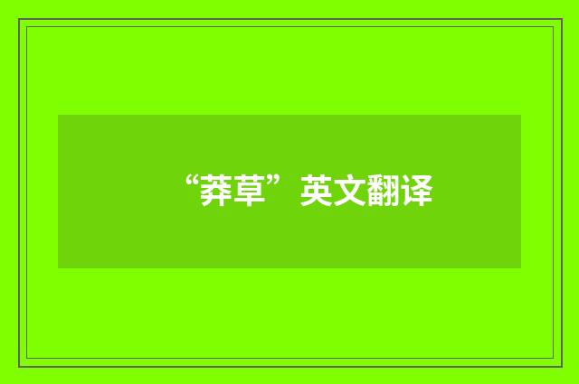 “莽草”英文翻译