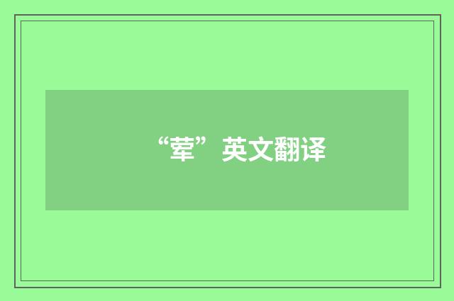“荤”英文翻译
