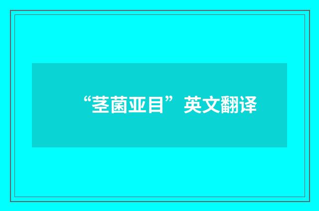 “茎菌亚目”英文翻译