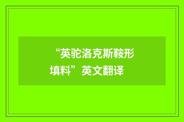 “英驼洛克斯鞍形填料”英文翻译