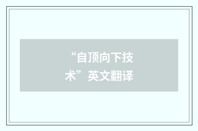 “自顶向下技术”英文翻译