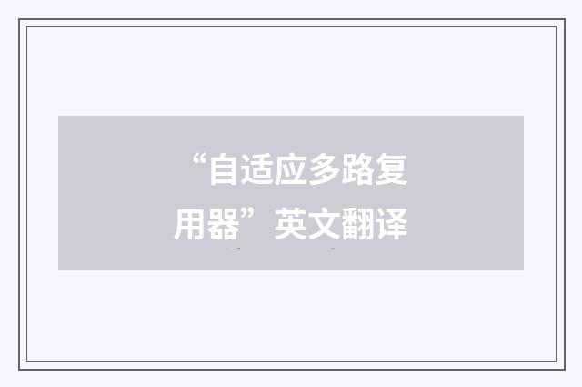 “自适应多路复用器”英文翻译