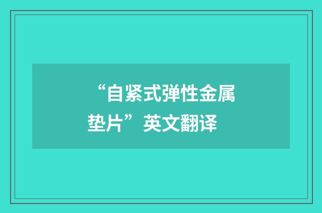 “自紧式弹性金属垫片”英文翻译