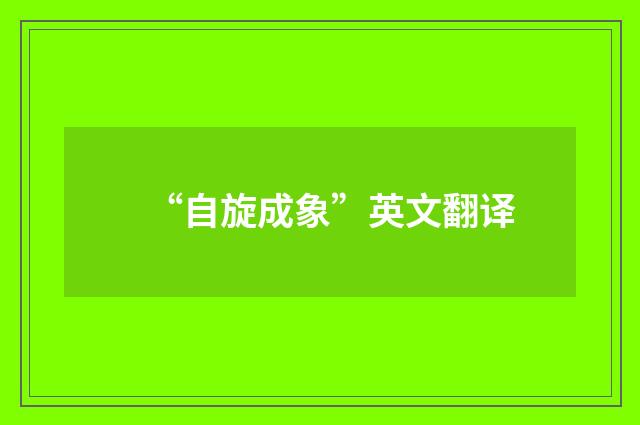 “自旋成象”英文翻译