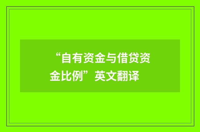 “自有资金与借贷资金比例”英文翻译