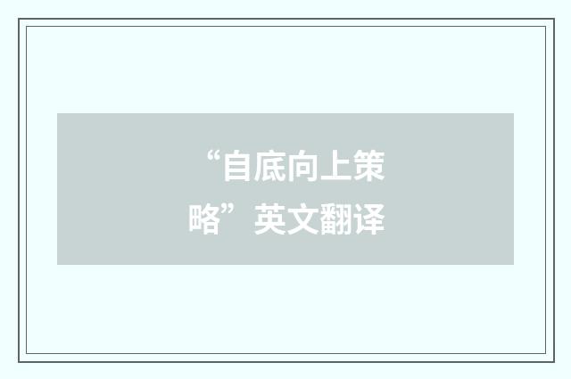 “自底向上策略”英文翻译