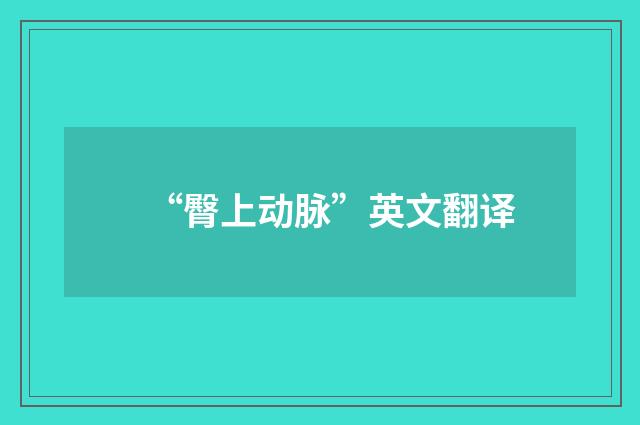 “臀上动脉”英文翻译