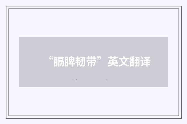 “膈脾韧带”英文翻译