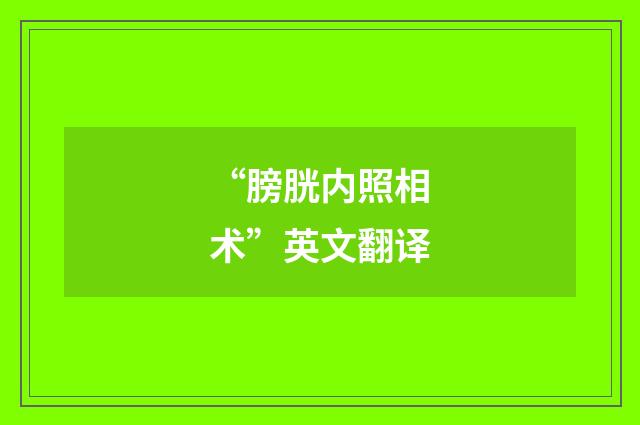 “膀胱内照相术”英文翻译