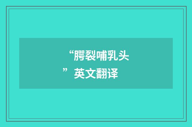 “腭裂哺乳头”英文翻译