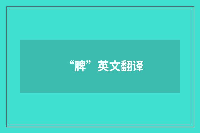 “脾”英文翻译
