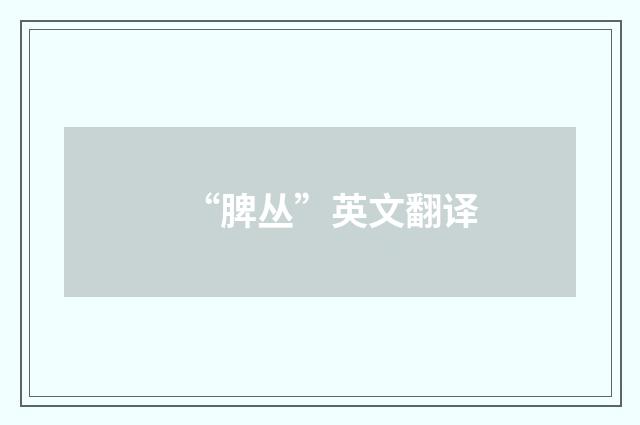 “脾丛”英文翻译