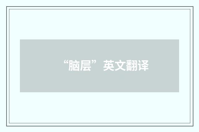 “脑层”英文翻译
