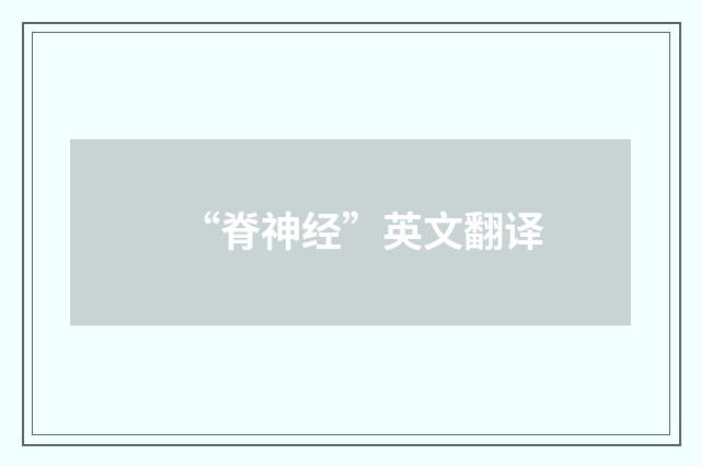 “脊神经”英文翻译