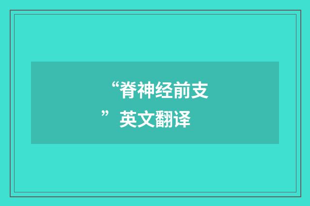 “脊神经前支”英文翻译