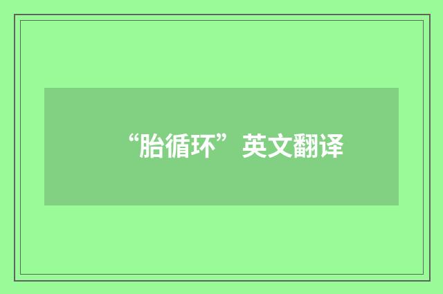 “胎循环”英文翻译