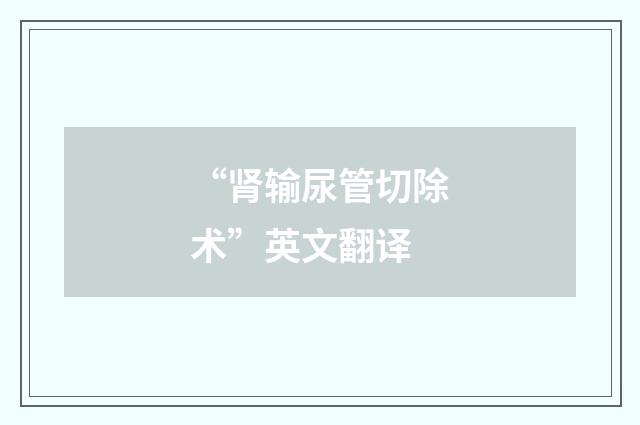 “肾输尿管切除术”英文翻译