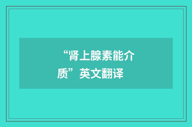 “肾上腺素能介质”英文翻译