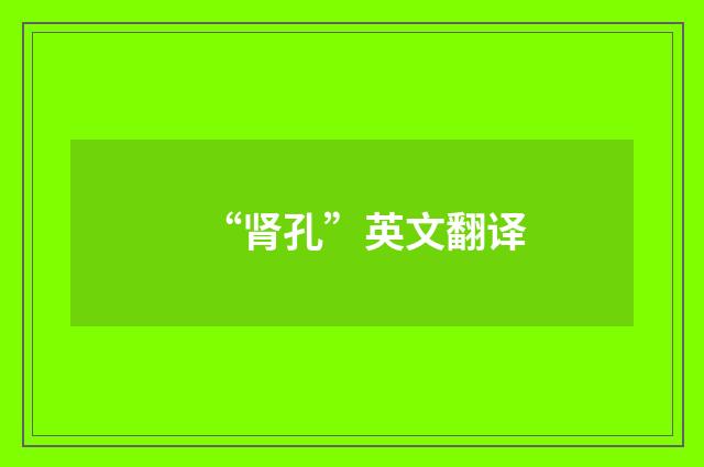 “肾孔”英文翻译