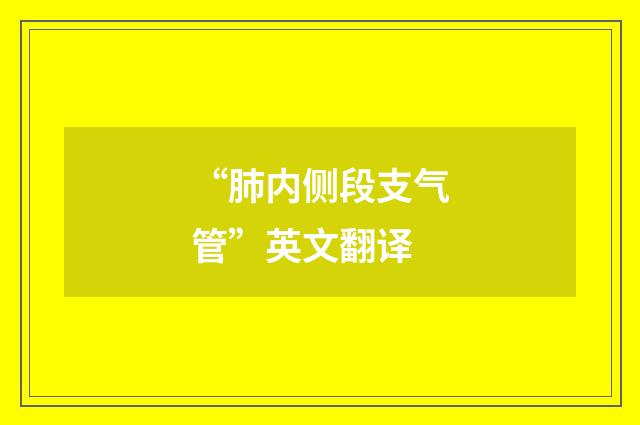 “肺内侧段支气管”英文翻译