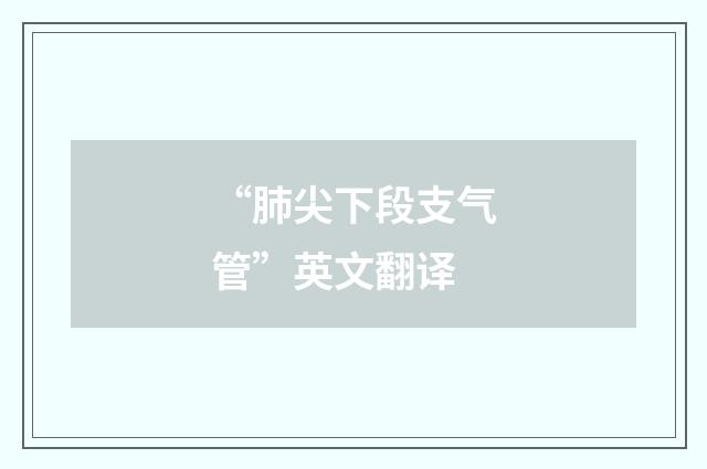 “肺尖下段支气管”英文翻译