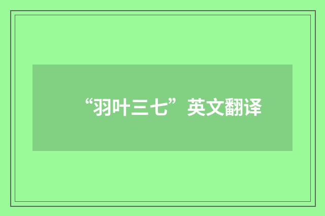 “羽叶三七”英文翻译