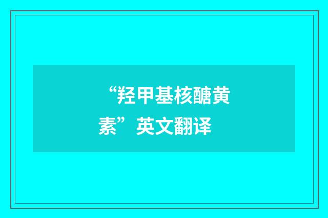 “羟甲基核醣黄素”英文翻译