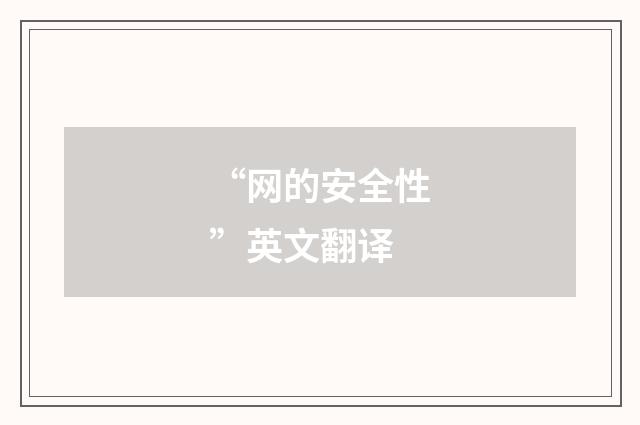 “网的安全性”英文翻译