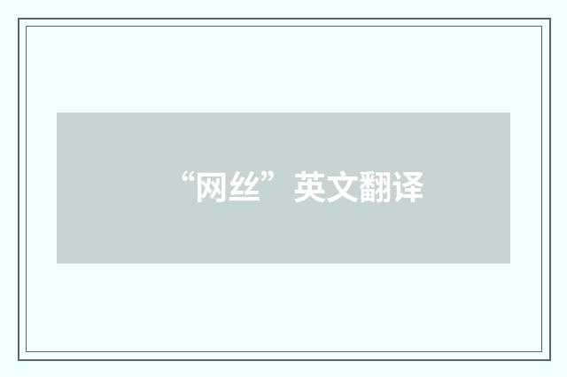 “网丝”英文翻译
