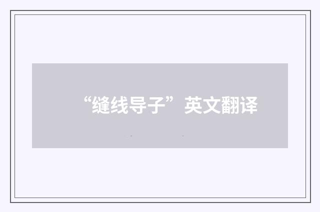“缝线导子”英文翻译