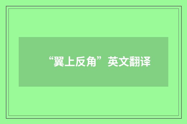 “翼上反角”英文翻译