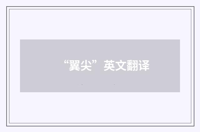 “翼尖”英文翻译