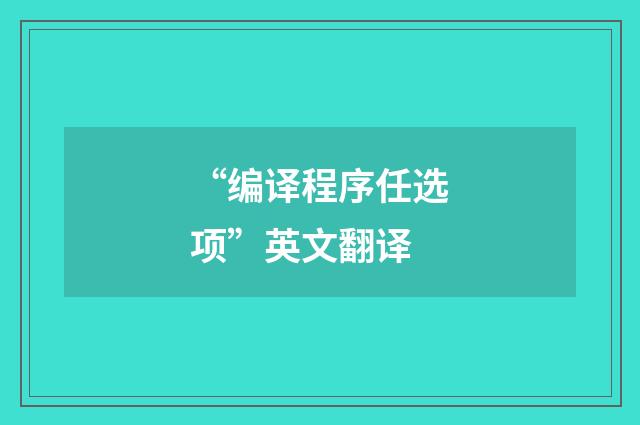 “编译程序任选项”英文翻译