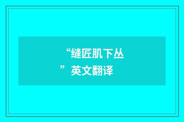 “缝匠肌下丛”英文翻译