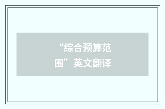 “综合预算范围”英文翻译