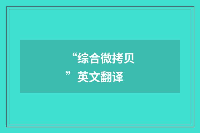 “综合微拷贝”英文翻译