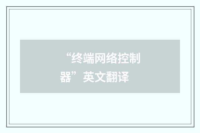 “终端网络控制器”英文翻译